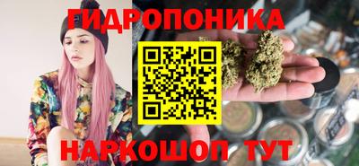 СК Рязань
