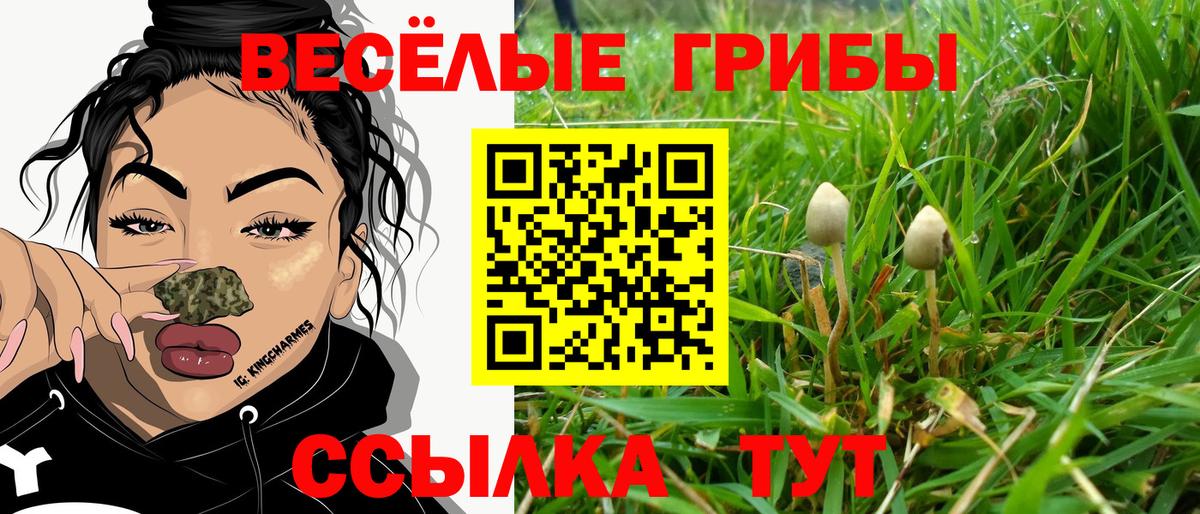 Сибай  Псилоцибиновые грибы MAGIC MUSHROOMS  Вход с VPN 